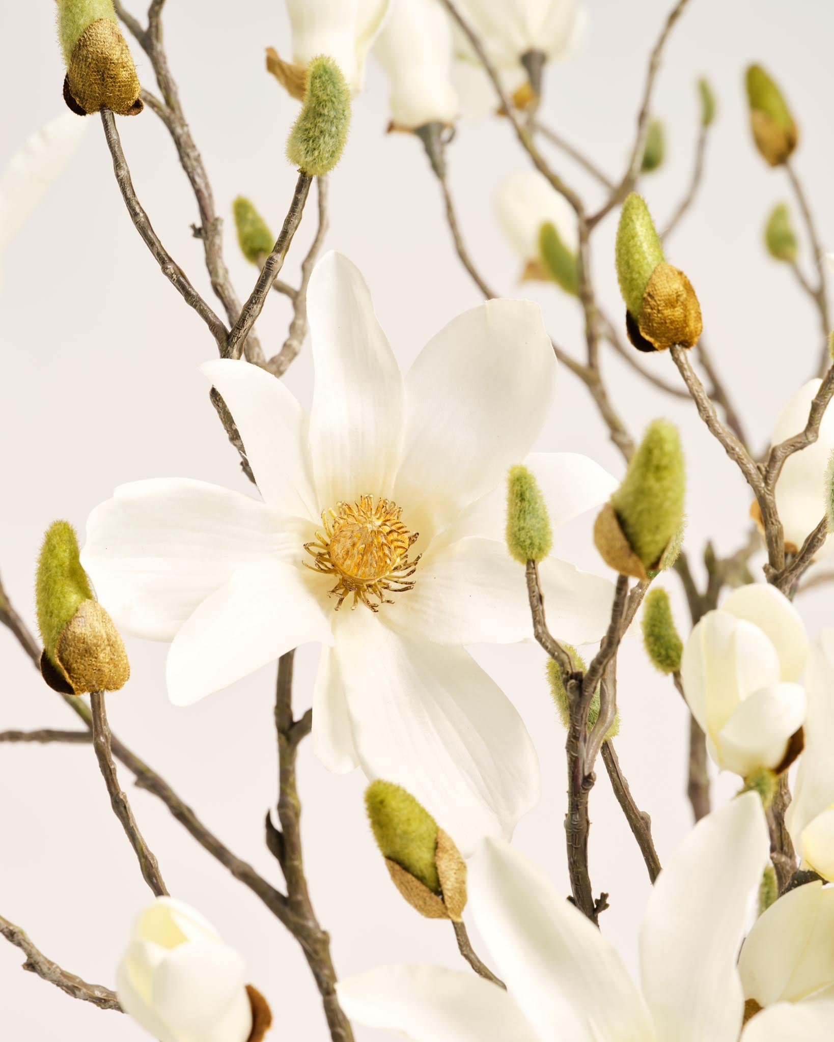 Silk Magnolia Bouquet XL | Good MC.03