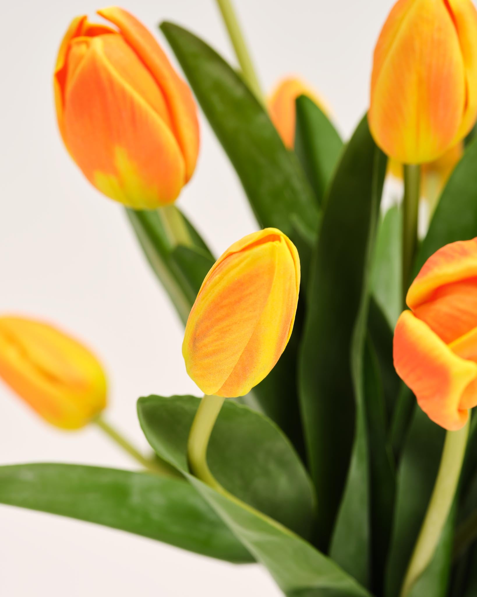 Bouquet De Tulipes En Soie | Good MC.24