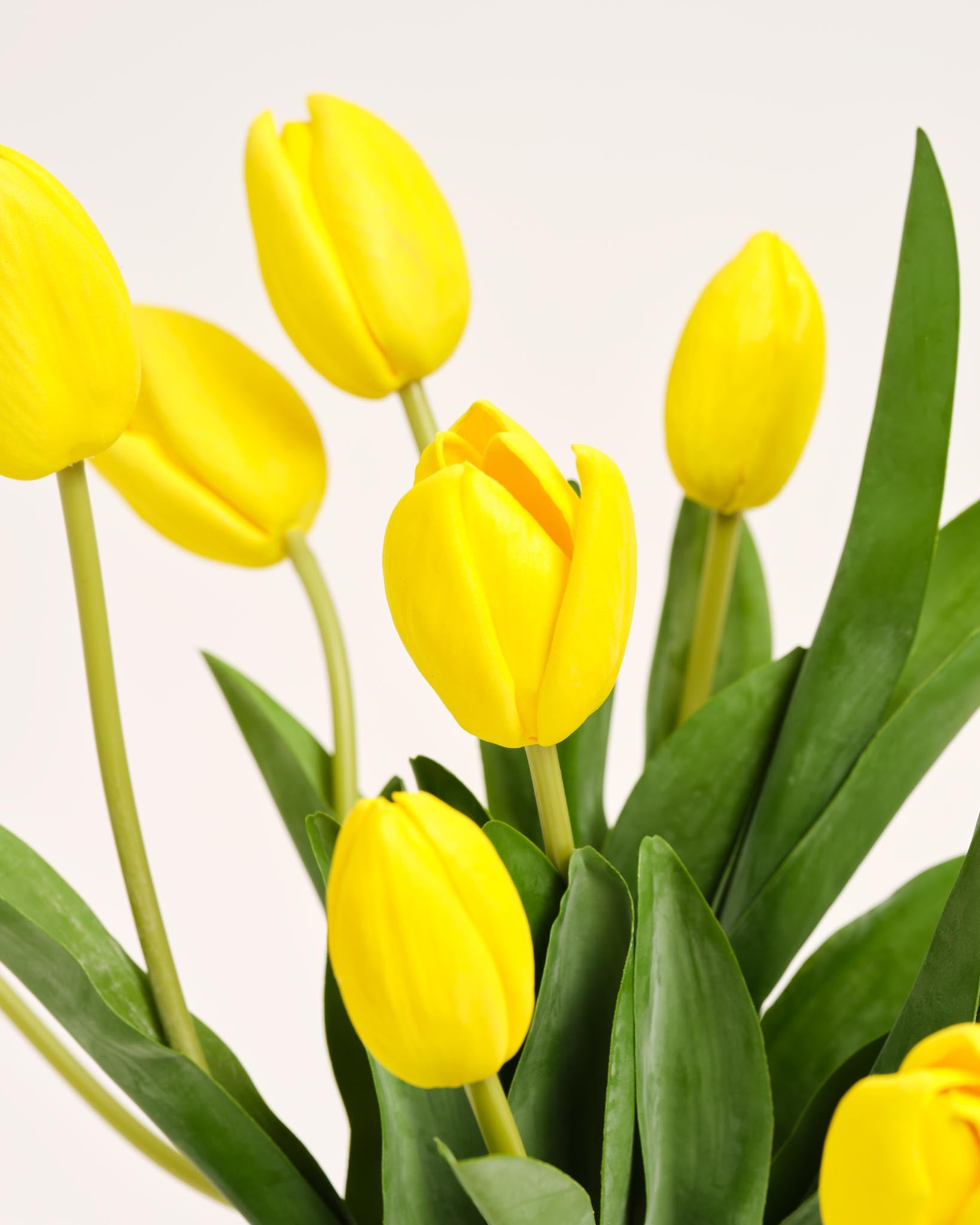 Bouquet De Tulipes En Soie | Good MC.23