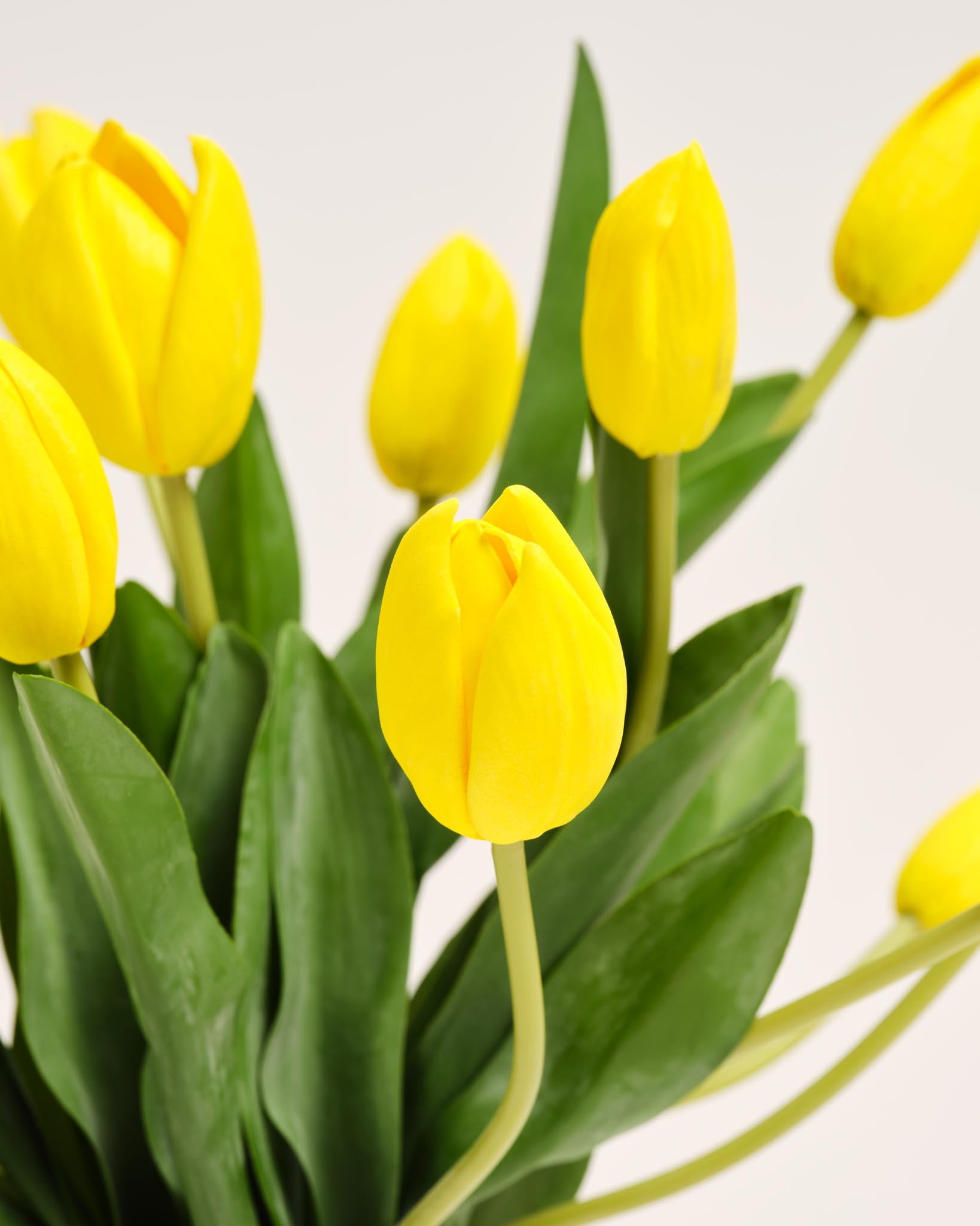 Bouquet De Tulipes En Soie | Good MC.23
