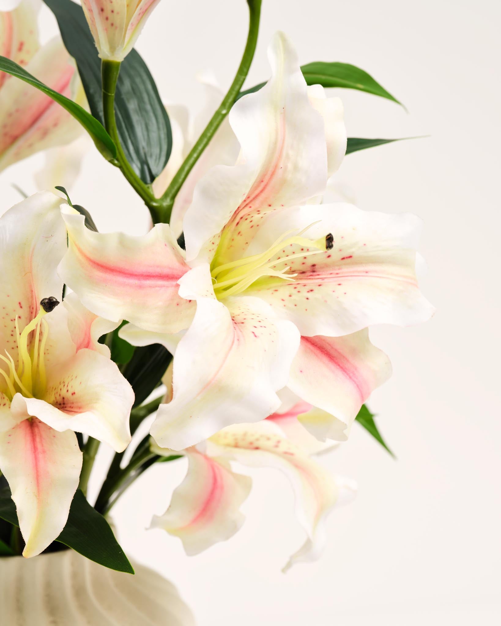 Silk Bouquet | Good MC.36