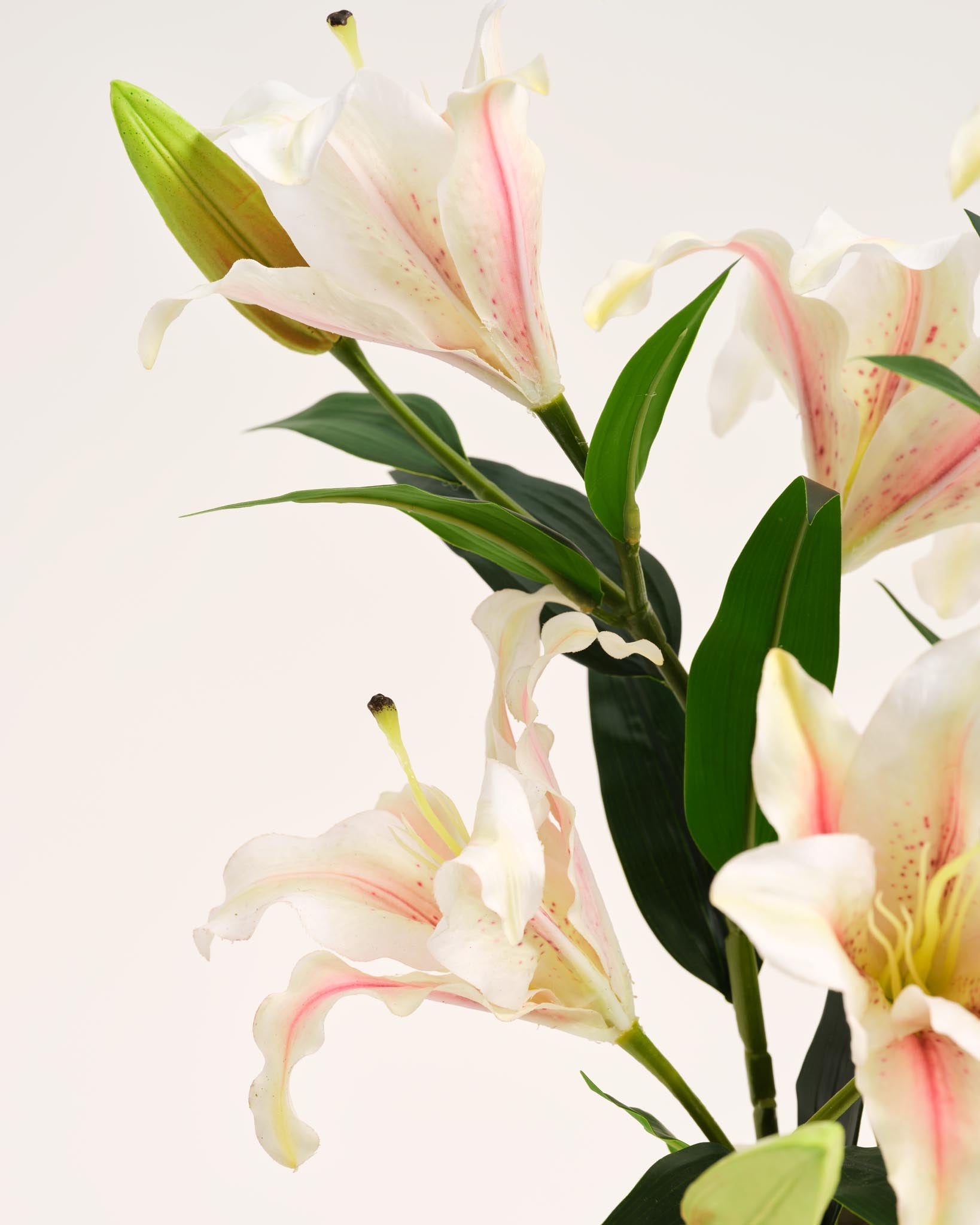 Silk Bouquet | Good MC.36