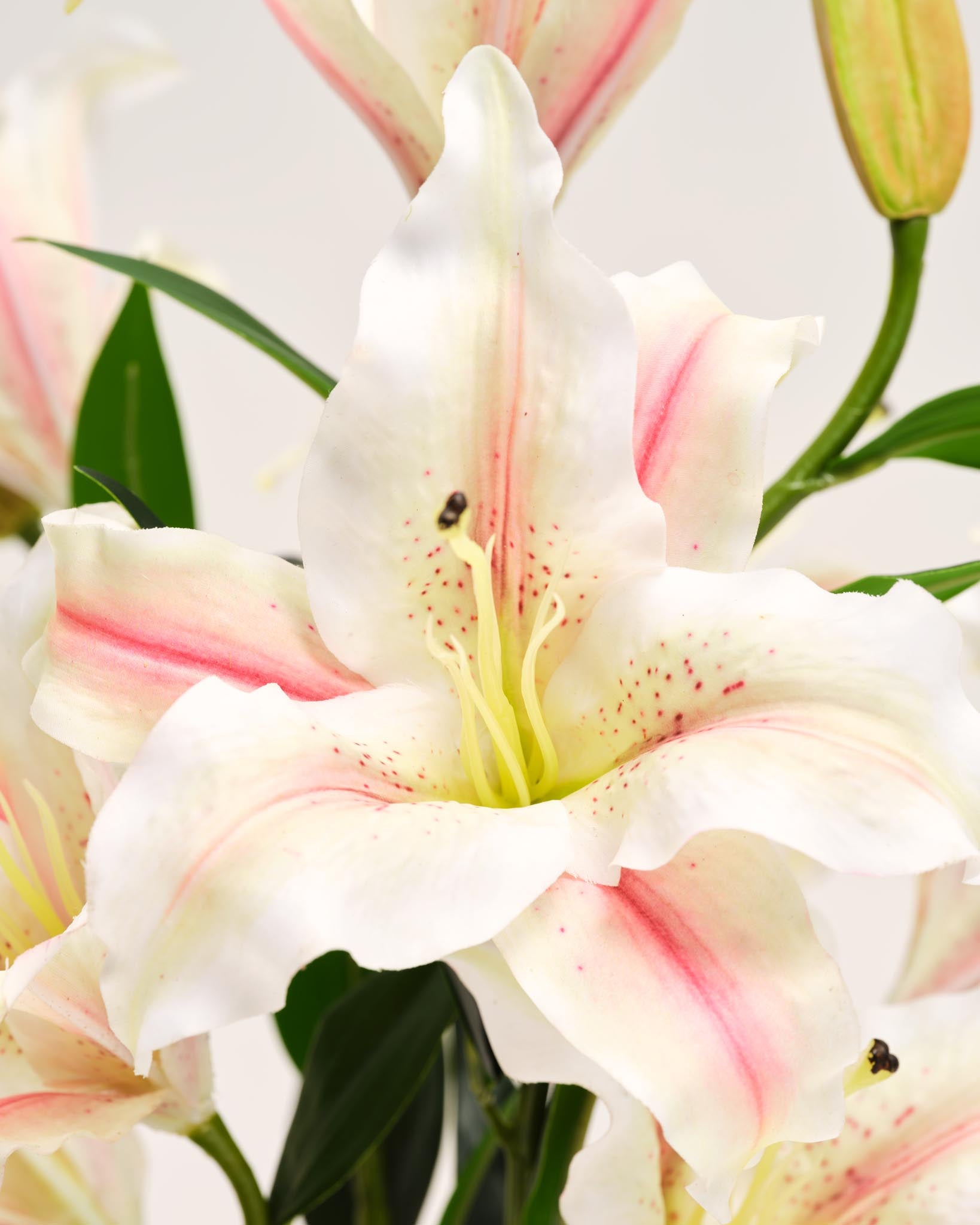 Silk Bouquet | Good MC.36