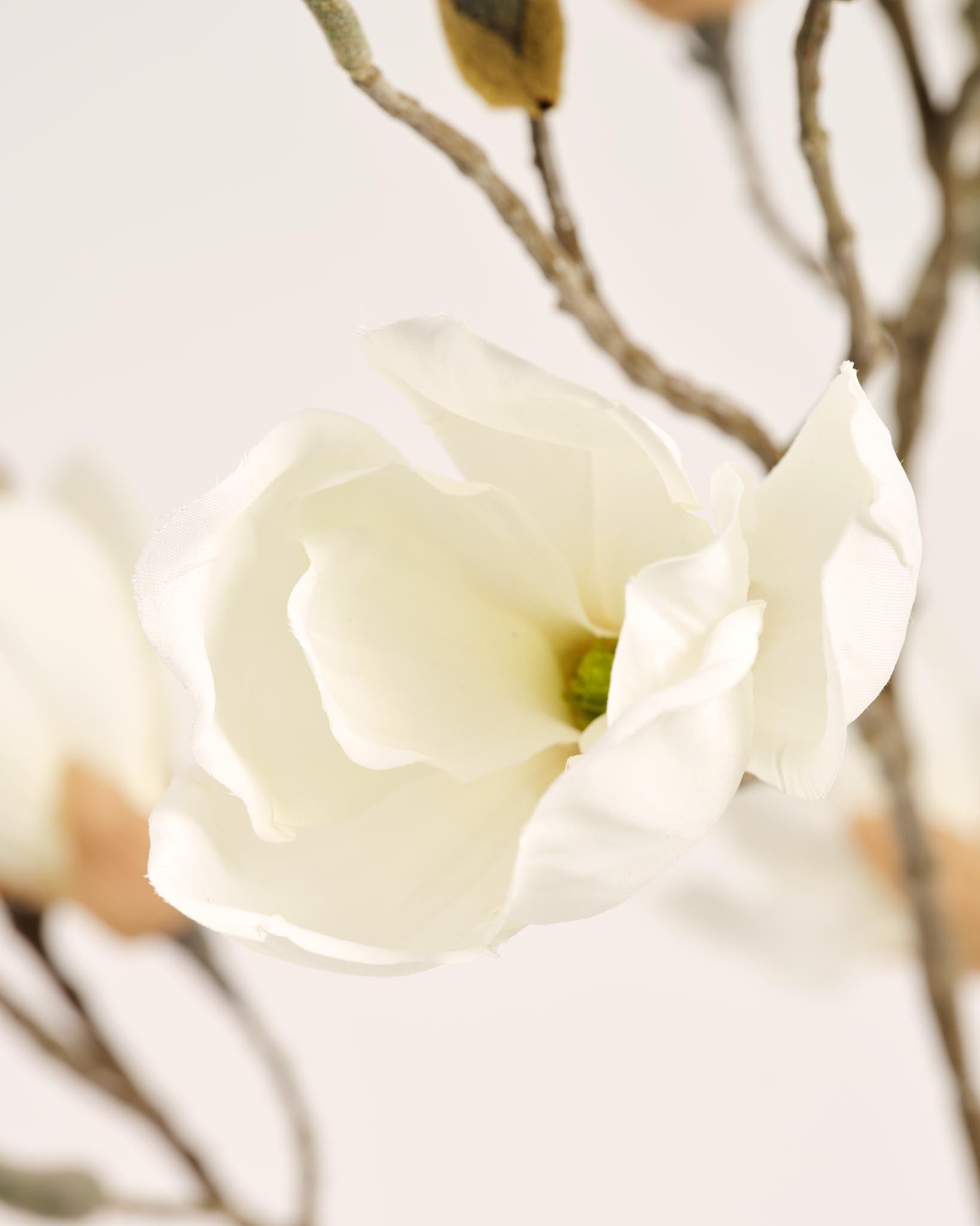 Silk Magnolia Bouquet | Good MC.37