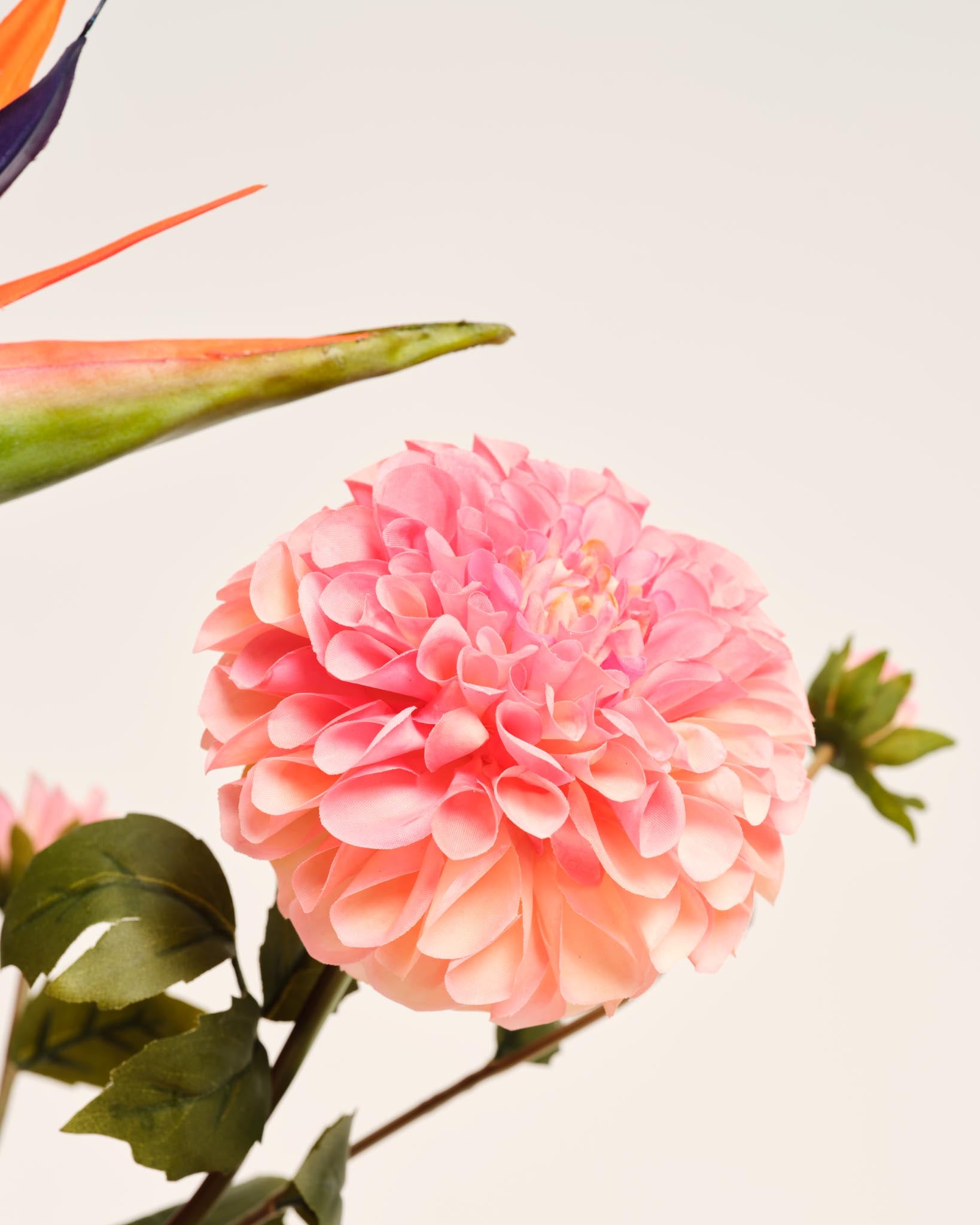 Silk Bouquet | Good SS.49
